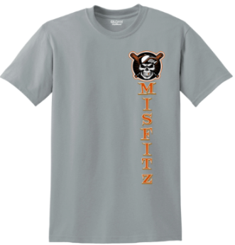 MSFZ UP/DWN 8000 Gildan® DryBlend® 50 Cotton/50 Poly T-Shirt (GRAVEL)